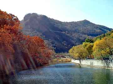 新澳天天开奖资料大全旅游团，地下室的秘密